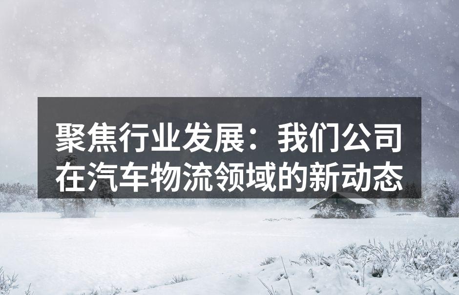 我们的运输管理系统提升了物流效率
